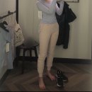 세린테크 이미지