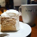 YB인터내셔널 이미지