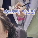 모락스칼프 | 인천 계양구 탈모 닥터모락 작전점 가성비 좋은 두피 관리