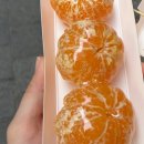 작팔 | 15.지랄은 병이 맞다
