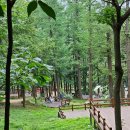 용인자연휴양림 이미지