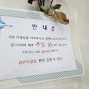 귀빈미용실 네이버블로그