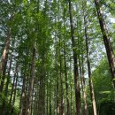 청석골칡냉면 이미지