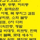향촌타이