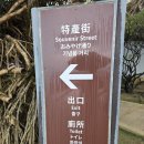 건어물나라 | 대만 타이베이 가볼만한곳 예류지질공원 기념품거리 건어물시장 투어 여행 방문 힐링 후기