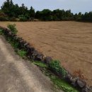 삼달1리마을회관 이미지