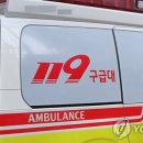 음양지교 강원일보