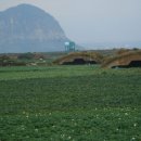 상모리-33 이미지