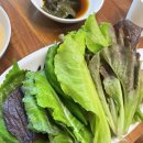 경산제일중학교 | 내돈내산 경산 단골들만간다는 백자산오리고기 후기(코스요리, 양념구이)
