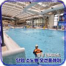 신한목욕탕 | 단양 소노벨 호텔 오션플레이 워터파크 물놀이 장단점 준비물