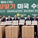 법인광수푸드