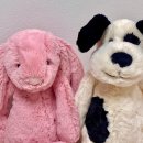 엘린퍼피 이미지