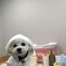 독트럴파크 이미지