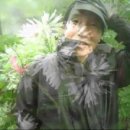 문막골 | 문경 꼭두바위봉~대미산