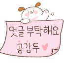 리프패럿광진구
