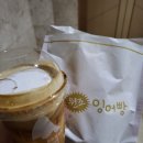 블루샥수영 이미지