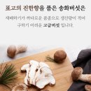 송화 이미지