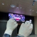 롤스푸드 | 2025 대전 체험형 모빌리티쇼 람보르기니 롤스로이스 타본 후기!