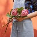 오리엔탈 이미지