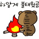 보람정비 이미지