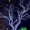 별빛정원 | 가평 리조트 가족여행 데이트추천 별빛정원 알파와 앵무 산책로 후기