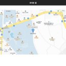 2024 경주 대릉원돌담길 벚꽃축제 이미지