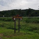 당진씨름장 이미지