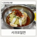 904 | 시원한 국물 탱글한 면발 '서귀포밀면' 솔직 후기