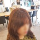 허준헤어으능정이점