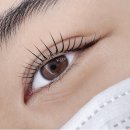 양덕원우체국 네이버블로그
