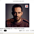 레빗(Levit) 이미지