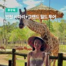 월드자동차정비 - 칠곡군 현대로 6 | 푸꾸옥 그랜드월드 후기｜분수쇼 명당 야경, 빈펄사파리 가격까지