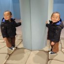 종로-연건-종로-연-194 | 여행 227. 서울시 종로구3[탑골공원 &amp; 인사동] 여행(결과 &amp; 후기)