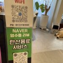 스테이(Stay) | 전대후문 맛과 가성비 좋은 파스타 맛집 스테이_STAY 내돈내산 후기