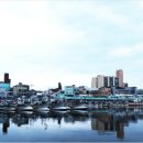 주문진항입구 교차로 이미지