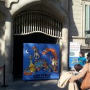 까사하나 이미지