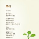 뿌리 이미지