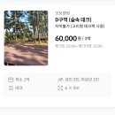 [대부도 아라뜰 캠핑장] 눈 펑펑오는 날 애견동반 가족 캠핑!, 숲속 데크존 D-7 사이트 | 2025년 1...