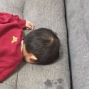 송선생의 초밥한점 | 청량리송선생님 강부자점집 전화예약방법 후기정리