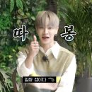 호텔파파야 이미지