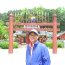박제상 유적지 Daum카페