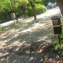 덕유대자동차야영장 이미지