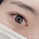쁨래쉬 네이버블로그