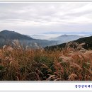 10월 24일 (토) 전북장수 장안산 억새/단풍산행🍁 안내 및 예약 이미지