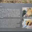 예인농장 네이버블로그