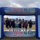청양공설운동장 이미지