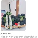 라힐에스떼고양지축