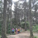 필봉산길 이미지