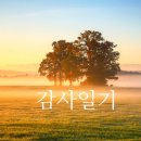 면목동-117 | 2024.11.25(月) 빌리의 감사일기 - 117회차