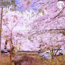 구산복집 이미지